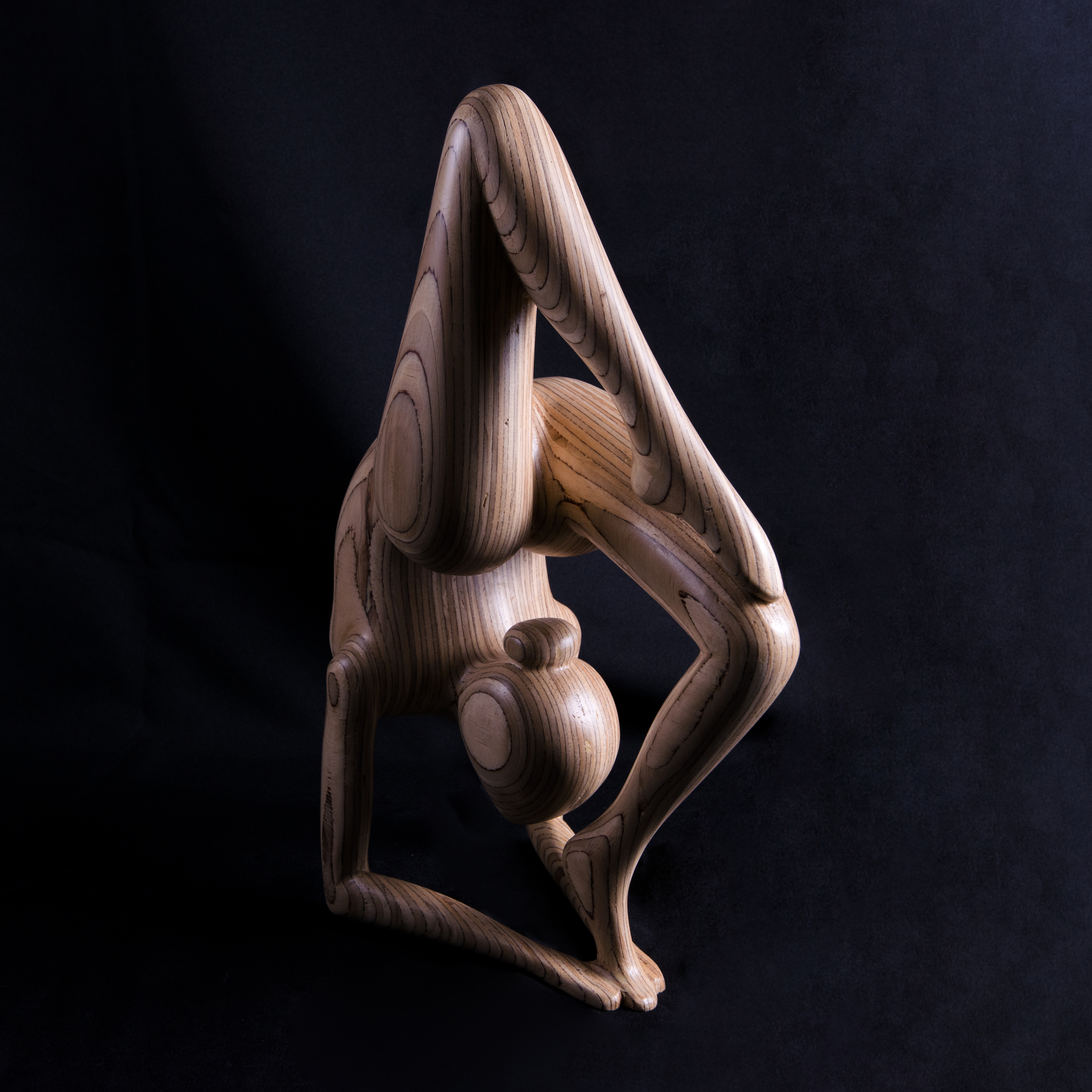 Beeld van Hout