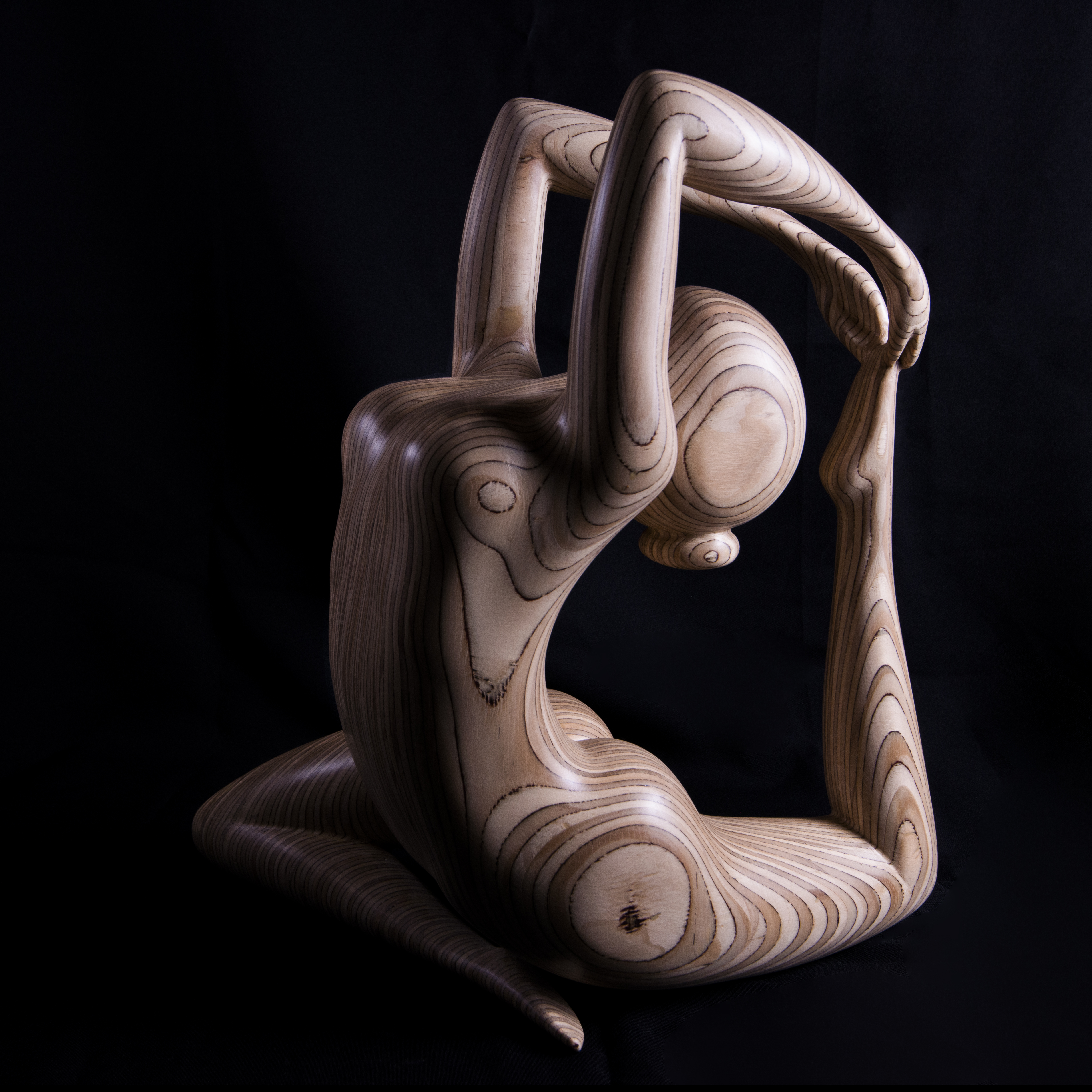 Beeld van Hout