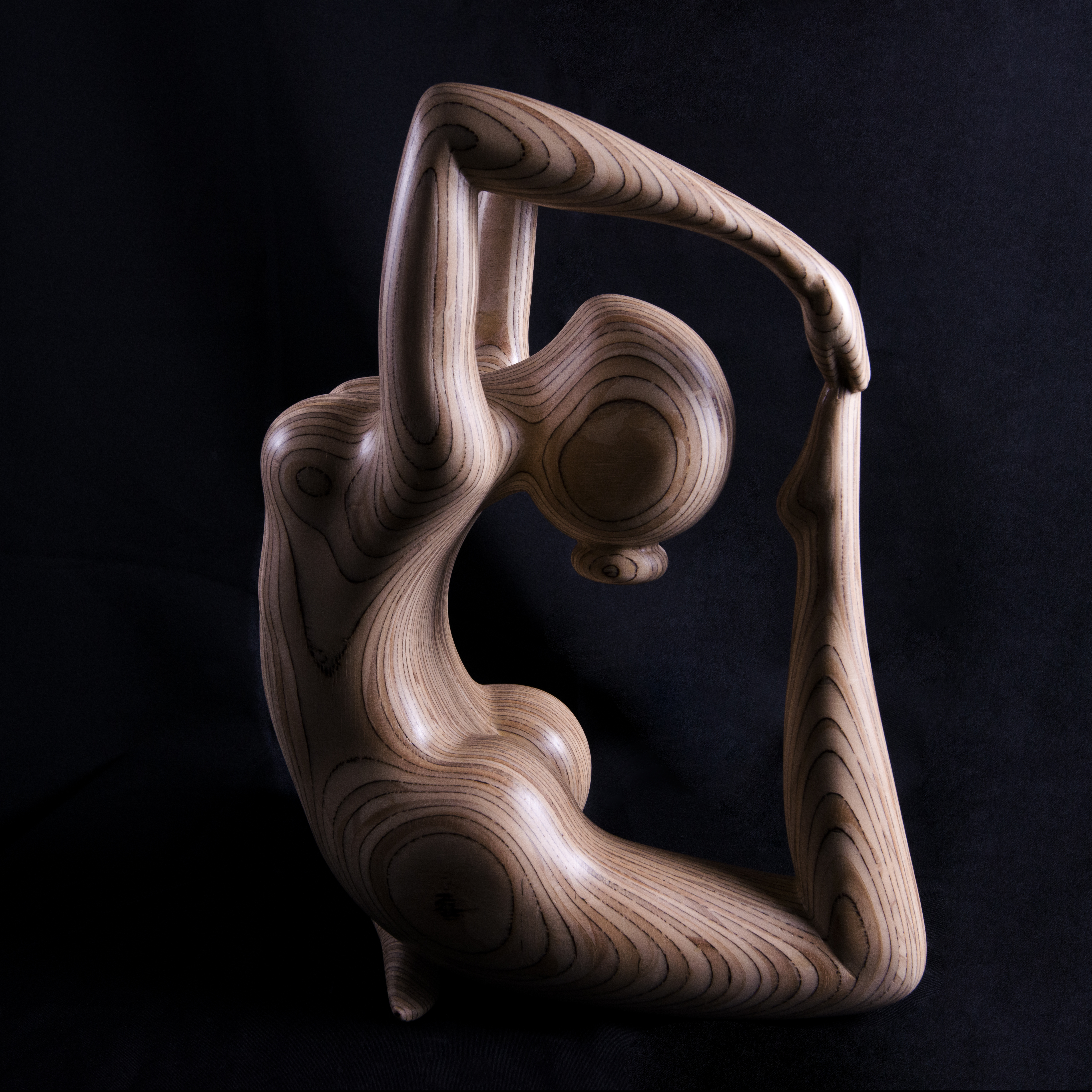 Beeld van Hout