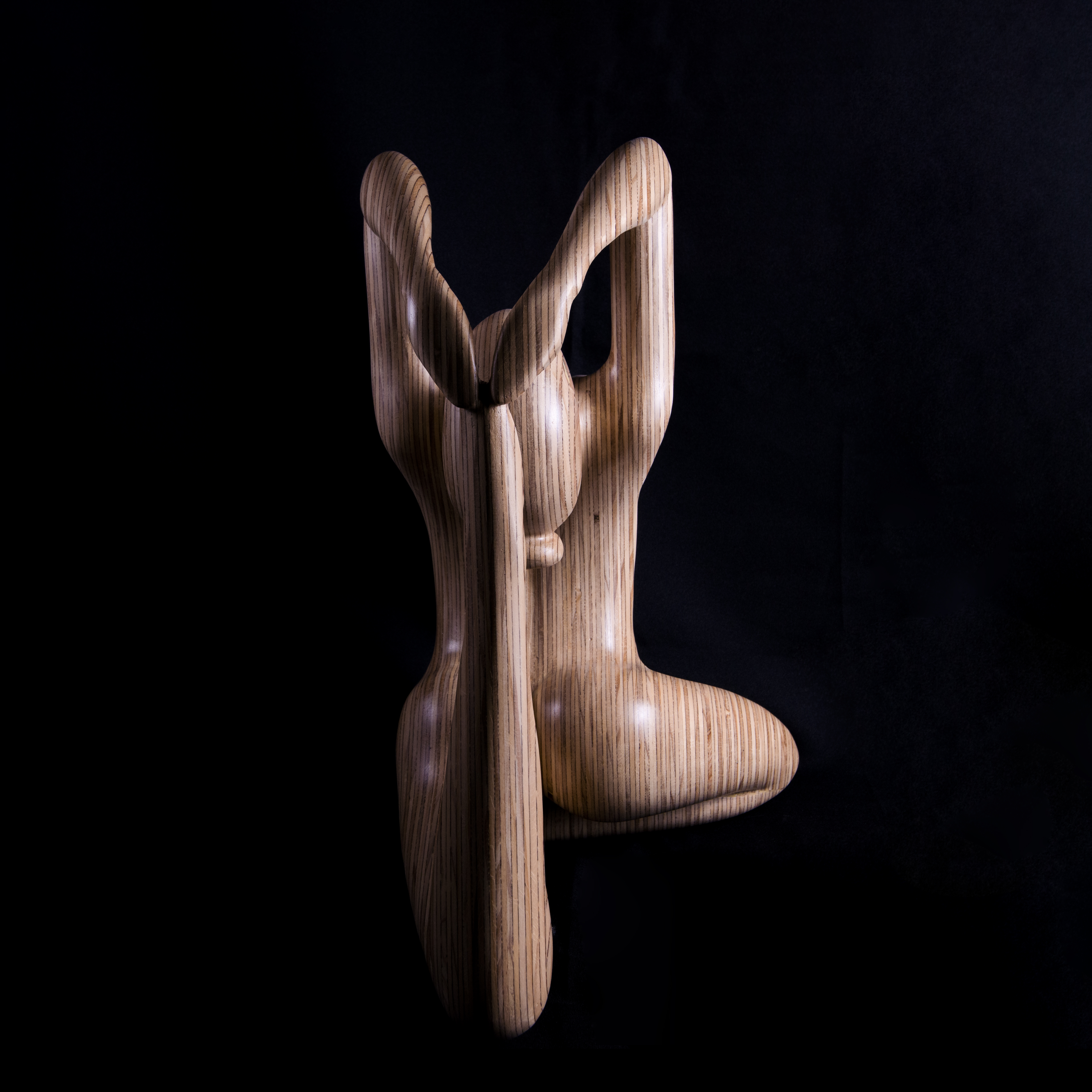 Beeld van Hout
